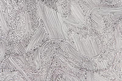 <i>Untitled (Labyrinth)</i>, 2005, black ball-point on paper, 47 1/16 x 55 inches (119.5 x 139.7 cm)