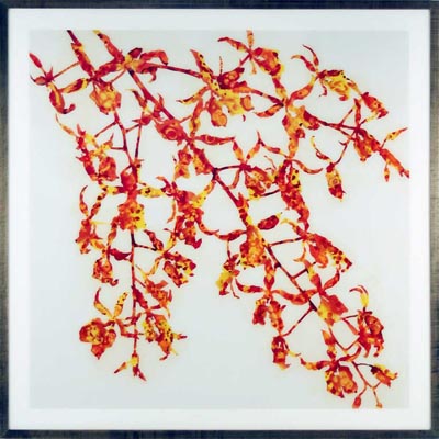 <i>Untitled (Yellow Flowers)</i>, 2005, acrylic and enamel behind Plexiglas, 72 x 72 inches (182.9 x 182.9 cm)