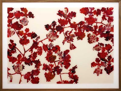 <i>Untitled (Red Flowers II)</i>, 2005, acrylic and enamel behind Plexiglas, 72 27/32 x 96 7/16 inches (185 x 245 cm)