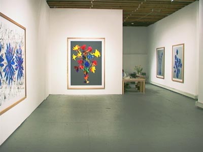 view of the exhibition <i>Novalis XJS new paintings by Stefan Sehler</i>, 2001