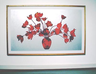 <i>Untitled</i>, 2001, acrylic and enamel behind plexiglass, 70x120 ins (178x305 cm)