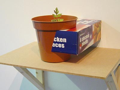Caroline McCarthy, <i>Promise (American Style)</i>, 2003, dinner packaging, plant Pot, wire and glue