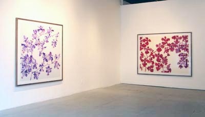 Exhibition view, from left to right: <i>Untitled</i>, 2005, acrylic and enamel behind plexiglas, 74.5x74.5 ins (189x189 cm); <i>Untitled</i>, 2005, acrylic and enamel behind plexiglas, 71x96 ins (180x244 cm)