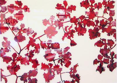 <i>Untitled</i>, 2005, acrylic and enamel behind plexiglas, 71x96 ins (180x244 cm)