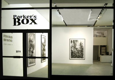 Exhibition View <i>New Paintings: Stefan Sehler</i>, Parker's Box, 2007, left to right: Stefan Sehler <i>Untitled (Marsh I)</i>, 2007; <i>Untitled (Marsh II)</i>, 2007; <i>Untitled (Marsh III)</i>, 2007