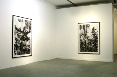 Exhibition View <i>New Paintings: Stefan Sehler</i>, Parker's Box, 2007, left to right: Stefan Sehler <i>Untitled (Marsh II)</i>, 2007; <i>Untitled (Marsh III)</i>, 2007