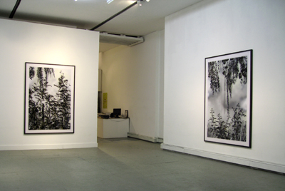 Exhibition View <i>New Paintings: Stefan Sehler</i>, Parker's Box, 2007, left to right: Stefan Sehler <i>Untitled (Marsh III)</i>, 2007; <i>Untitled (Marsh IV)</i>, 2007
