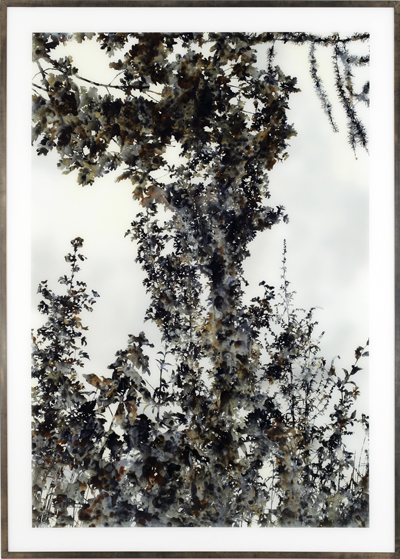 Stefan Sehler <i>Untitled (Marsh VI)</i>, 2007