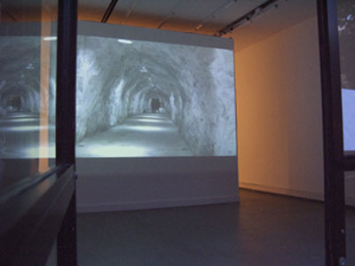<i>Liu Thinks Jade Dragon Snow Mountain Is Innocent</i>, installation view, Parker's Box, 2008