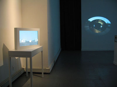<i>Mortal Coil</i>, exhibition view, Parker's Box, 2008; clockwise left to right: John Gerrard, <i>Grow / Finish Unit (Eva Oklahoma)</i>, 2008; Simon Faithfull, <i>Orbital No.1</i>, 2002