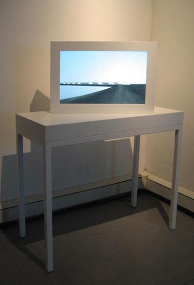 <i>Mortal Coil</i>, exhibition view, Parker's Box, 2008; John Gerrard, <i>Grow / Finish Unit (Eva Oklahoma)</i>, 2008, Realtime 3D