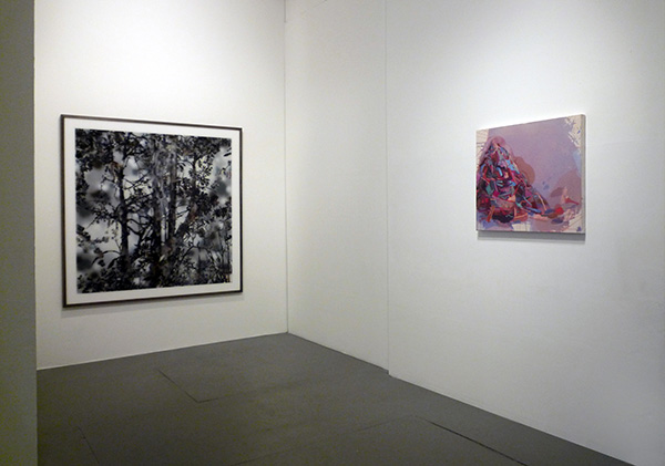 <i>NotAbstract 1</i>, exhibition view, Parker's Box, 2009