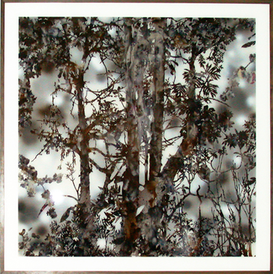 Stefan Sehler, <i>Untitled</i>, 2006, oil, enamel and acrylic behind Plexiglas, 73 x 73 inches (185 x 185 cm)